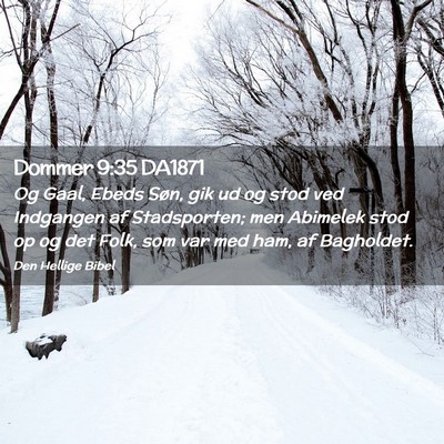 Picture 02 - Dommer 9:35 DA1871 - Og Gaal, Ebeds Søn, gik ud og stod ved Indgangen - Bible Verse Picture