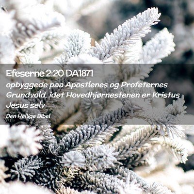 Picture 02 - Efeserne 2:20 DA1871 - opbyggede paa Apostlenes og Profeternes - Bible Verse Picture