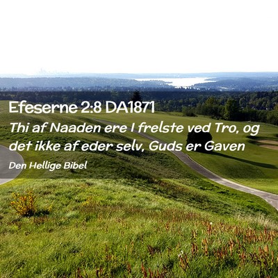 Picture 02 - Efeserne 2:8 DA1871 - Thi af Naaden ere I frelste ved Tro, og det ikke - Bible Verse Picture