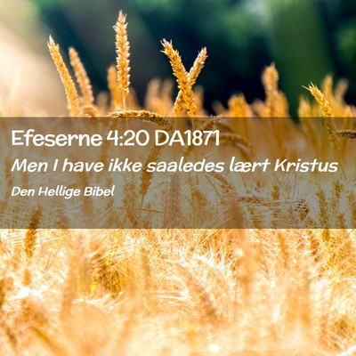 Picture 02 - Efeserne 4:20 DA1871 - Men I have ikke saaledes lært - Bible Verse Picture