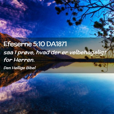 Picture 02 - Efeserne 5:10 DA1871 - saa I prøve, hvad der er velbehageligt for - Bible Verse Picture