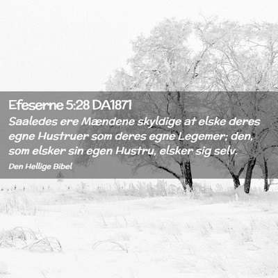 Picture 02 - Efeserne 5:28 DA1871 - Saaledes ere Mændene skyldige at elske deres - Bible Verse Picture