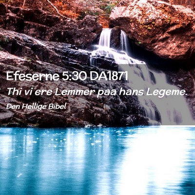 Picture 02 - Efeserne 5:30 DA1871 - Thi vi ere Lemmer paa hans - Bible Verse Picture