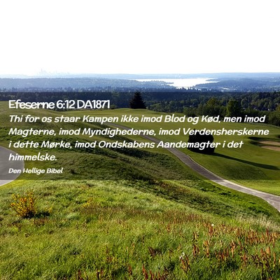 Picture 02 - Efeserne 6:12 DA1871 - Thi for os staar Kampen ikke imod Blod og Kød, - Bible Verse Picture