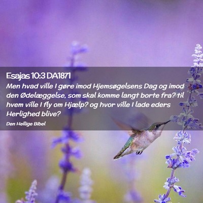 Picture 02 - Esajas 10:3 DA1871 - Men hvad ville I gøre imod Hjemsøgelsens Dag og - Bible Verse Picture