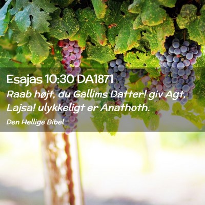 Picture 02 - Esajas 10:30 DA1871 - Raab højt, du Gallims Datter! giv Agt, Lajsa! - Bible Verse Picture
