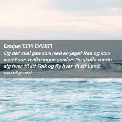 Picture 02 - Esajas 13:14 DA1871 - Og det skal gaa som med en jaget Raa og som med - Bible Verse Picture