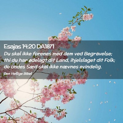 Picture 02 - Esajas 14:20 DA1871 - Du skal ikke forenes med dem ved Begravelse; thi - Bible Verse Picture