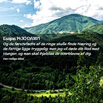 Picture 02 - Esajas 14:30 DA1871 - Og de førstefødte af de ringe skulle finde - Bible Verse Picture