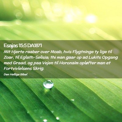 Picture 02 - Esajas 15:5 DA1871 - Mit Hjerte raaber over Moab, hvis Flygtninge ty - Bible Verse Picture