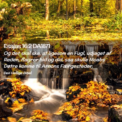 Picture 02 - Esajas 16:2 DA1871 - Og det skal ske, at ligesom en Fugl, udjaget af - Bible Verse Picture
