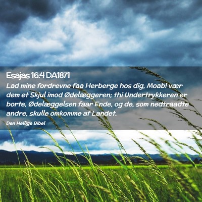 Picture 02 - Esajas 16:4 DA1871 - Lad mine fordrevne faa Herberge hos dig, Moab! - Bible Verse Picture