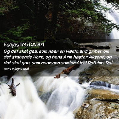 Picture 02 - Esajas 17:5 DA1871 - Og det skal gaa, som naar en Høstmand griber om - Bible Verse Picture