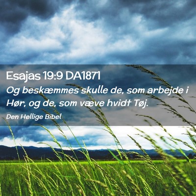 Picture 02 - Esajas 19:9 DA1871 - Og beskæmmes skulle de, som arbejde i Hør, og - Bible Verse Picture