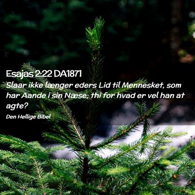 Picture 02 - Esajas 2:22 DA1871 - Slaar ikke længer eders Lid til Mennesket, som - Bible Verse Picture
