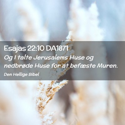 Picture 02 - Esajas 22:10 DA1871 - Og I talte Jerusalems Huse og nedbrøde Huse for - Bible Verse Picture