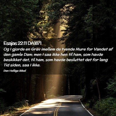 Picture 02 - Esajas 22:11 DA1871 - Og I gjorde en Grav imellem de tvende Mure for - Bible Verse Picture