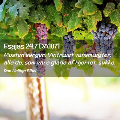 Picture 02 - Esajas 24:7 DA1871 - Mosten sørger, Vintræet vansmægter, alle de, - Bible Verse Picture