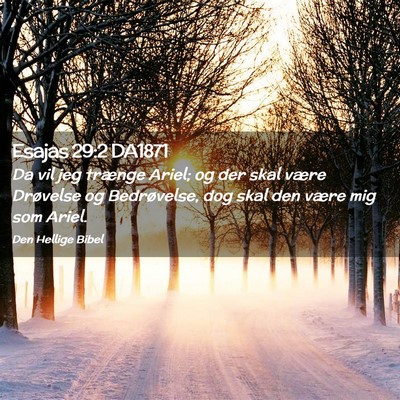 Picture 02 - Esajas 29:2 DA1871 - Da vil jeg trænge Ariel; og der skal være - Bible Verse Picture