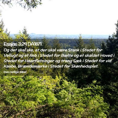 Picture 02 - Esajas 3:24 DA1871 - Og det skal ske, at der skal være Stank i Stedet - Bible Verse Picture