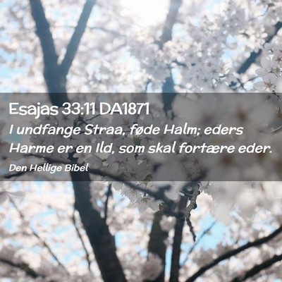 Picture 02 - Esajas 33:11 DA1871 - I undfange Straa, føde Halm; eders Harme er en - Bible Verse Picture