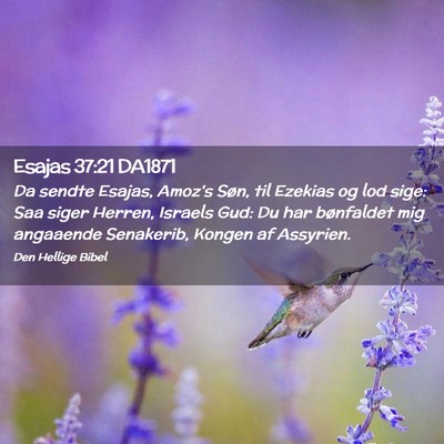 Picture 02 - Esajas 37:21 DA1871 - Da sendte Esajas, Amoz's Søn, til Ezekias og lod - Bible Verse Picture