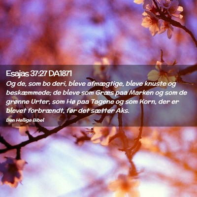 Picture 02 - Esajas 37:27 DA1871 - Og de, som bo deri, bleve afmægtige, bleve - Bible Verse Picture