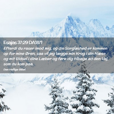 Picture 02 - Esajas 37:29 DA1871 - Efterdi du raser imod mig, og din Sorgløshed er - Bible Verse Picture