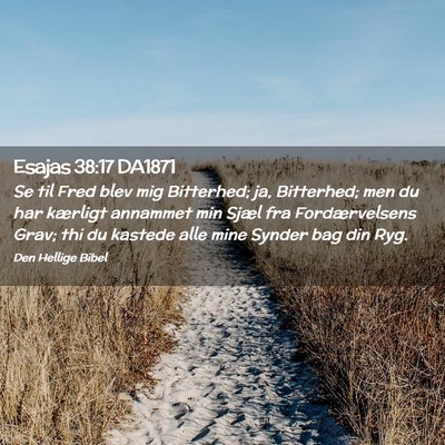 Picture 02 - Esajas 38:17 DA1871 - Se til Fred blev mig Bitterhed; ja, Bitterhed; - Bible Verse Picture