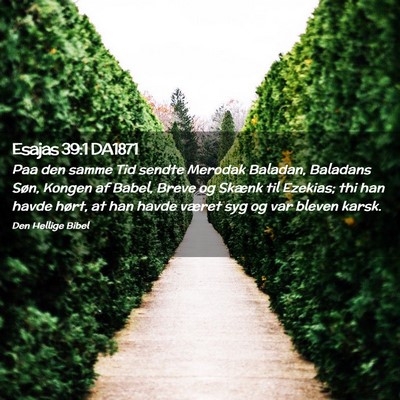 Picture 02 - Esajas 39:1 DA1871 - Paa den samme Tid sendte Merodak Baladan, - Bible Verse Picture