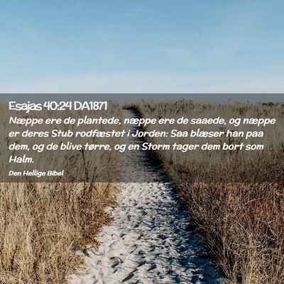 Picture 02 - Esajas 40:24 DA1871 - Næppe ere de plantede, næppe ere de saaede, og - Bible Verse Picture