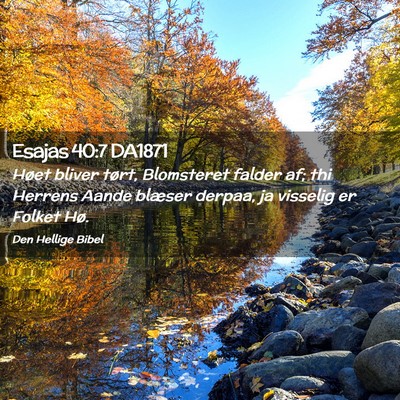 Picture 02 - Esajas 40:7 DA1871 - Høet bliver tørt, Blomsteret falder af; thi - Bible Verse Picture