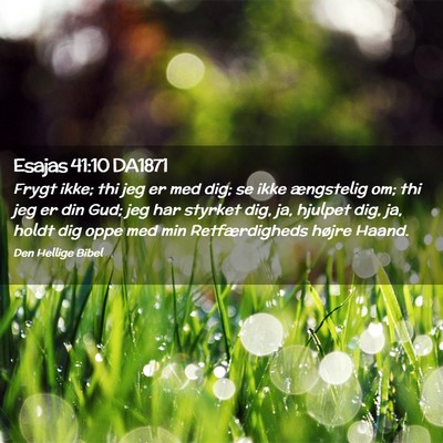 Picture 02 - Esajas 41:10 DA1871 - Frygt ikke; thi jeg er med dig; se ikke - Bible Verse Picture
