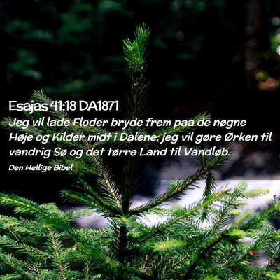Picture 02 - Esajas 41:18 DA1871 - Jeg vil lade Floder bryde frem paa de nøgne - Bible Verse Picture