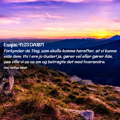 Picture 02 - Esajas 41:23 DA1871 - Forkynder de Ting, som skulle komme herefter, at - Bible Verse Picture