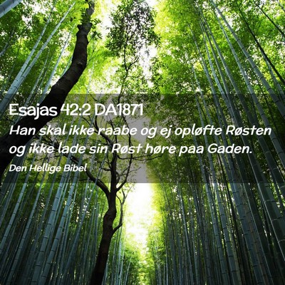 Picture 02 - Esajas 42:2 DA1871 - Han skal ikke raabe og ej opløfte Røsten og - Bible Verse Picture