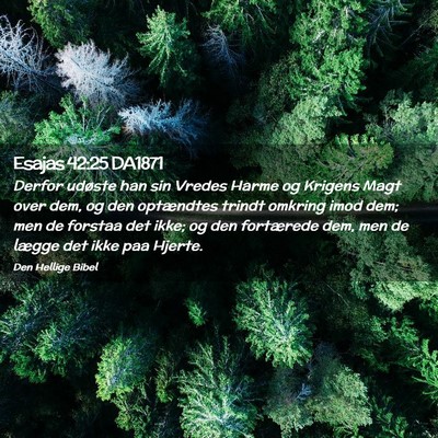 Picture 02 - Esajas 42:25 DA1871 - Derfor udøste han sin Vredes Harme og Krigens - Bible Verse Picture