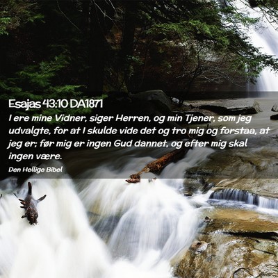 Picture 02 - Esajas 43:10 DA1871 - I ere mine Vidner, siger Herren, og min Tjener, - Bible Verse Picture