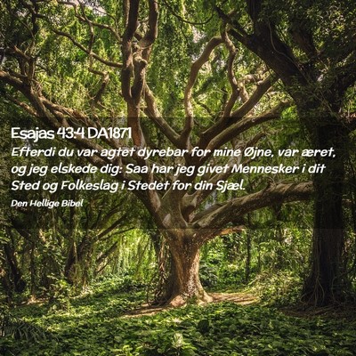 Picture 02 - Esajas 43:4 DA1871 - Efterdi du var agtet dyrebar for mine Øjne, var - Bible Verse Picture