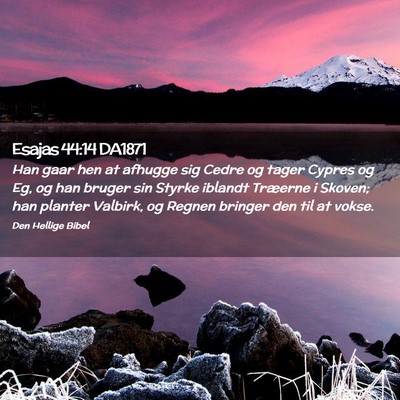 Picture 02 - Esajas 44:14 DA1871 - Han gaar hen at afhugge sig Cedre og tager Cypres - Bible Verse Picture