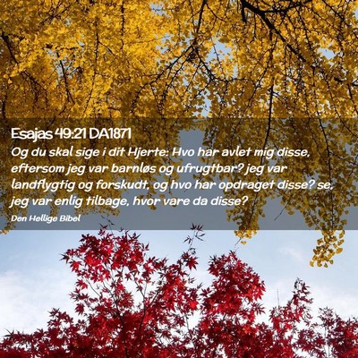 Picture 02 - Esajas 49:21 DA1871 - Og du skal sige i dit Hjerte: Hvo har avlet mig - Bible Verse Picture