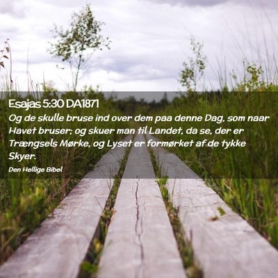 Picture 02 - Esajas 5:30 DA1871 - Og de skulle bruse ind over dem paa denne Dag, - Bible Verse Picture