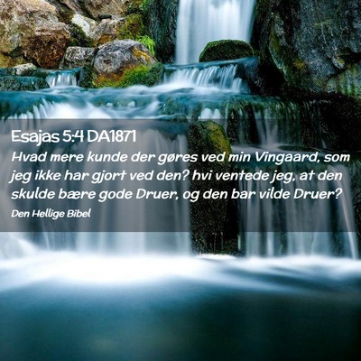 Picture 02 - Esajas 5:4 DA1871 - Hvad mere kunde der gøres ved min Vingaard, som - Bible Verse Picture