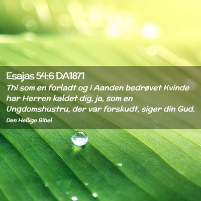 Picture 02 - Esajas 54:6 DA1871 - Thi som en forladt og i Aanden bedrøvet Kvinde - Bible Verse Picture