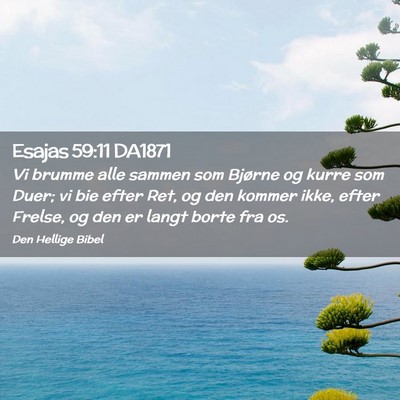 Picture 02 - Esajas 59:11 DA1871 - Vi brumme alle sammen som Bjørne og kurre som - Bible Verse Picture