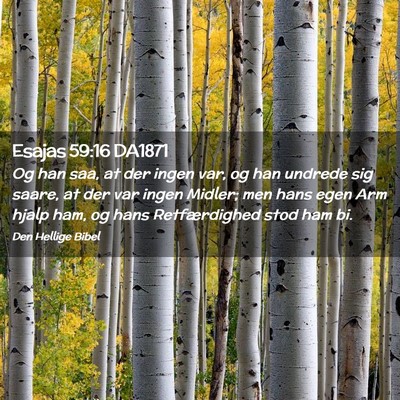 Picture 02 - Esajas 59:16 DA1871 - Og han saa, at der ingen var, og han undrede sig - Bible Verse Picture