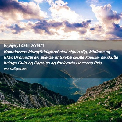 Picture 02 - Esajas 60:6 DA1871 - Kamelernes Mangfoldighed skal skjule dig, Midians - Bible Verse Picture