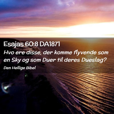 Picture 02 - Esajas 60:8 DA1871 - Hvo ere disse, der komme flyvende som en Sky og - Bible Verse Picture