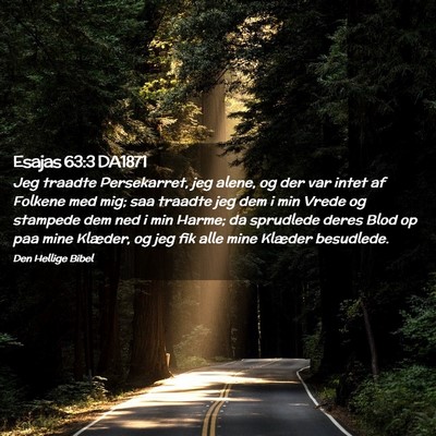 Picture 02 - Esajas 63:3 DA1871 - Jeg traadte Persekarret, jeg alene, og der var - Bible Verse Picture