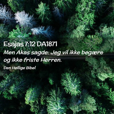 Picture 02 - Esajas 7:12 DA1871 - Men Akas sagde: Jeg vil ikke begære og ikke - Bible Verse Picture